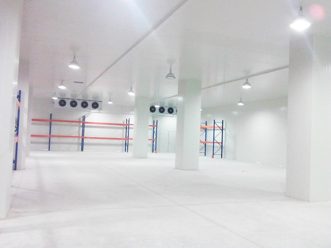 Logistics-Center-Cold-Storage-7 Centro-Logístico-Centro-Frío-7