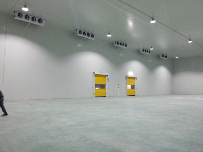 Low-Temperature-Cold-Storage-Project8 Proyecto de almacenamiento en frío a baja temperatura8