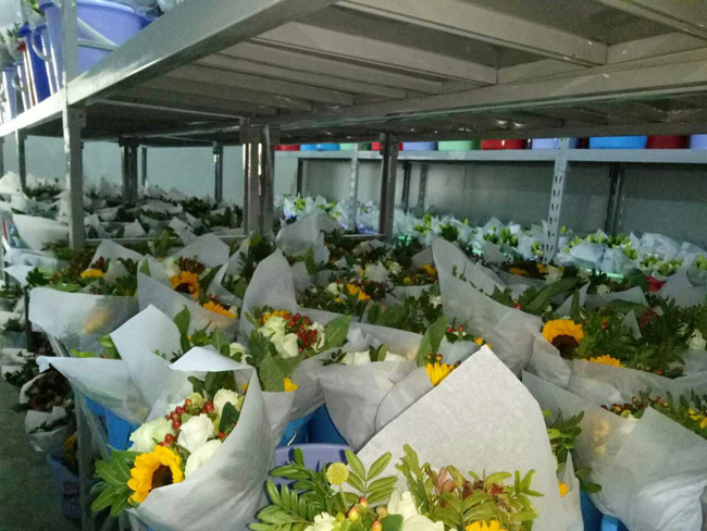 Fresh-Flower-Preservation-Refrigerator2 Refrigerador-conservación-de-flores-frescas2