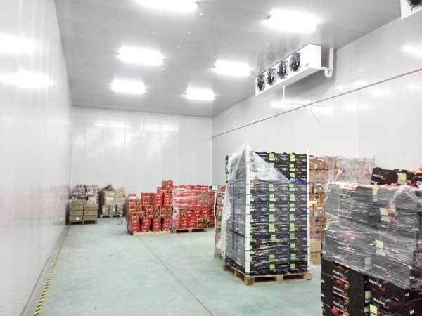 Fruit-cold-storage4 Almacenamiento-frigorifico-de-fruta4