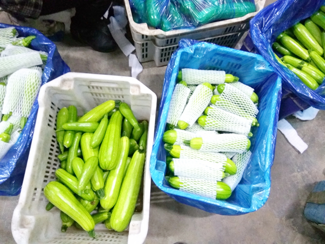 shanxi-vegetable-refrigeration-storage16 shanxi-refrigeración-almacenamiento-de-verduras16