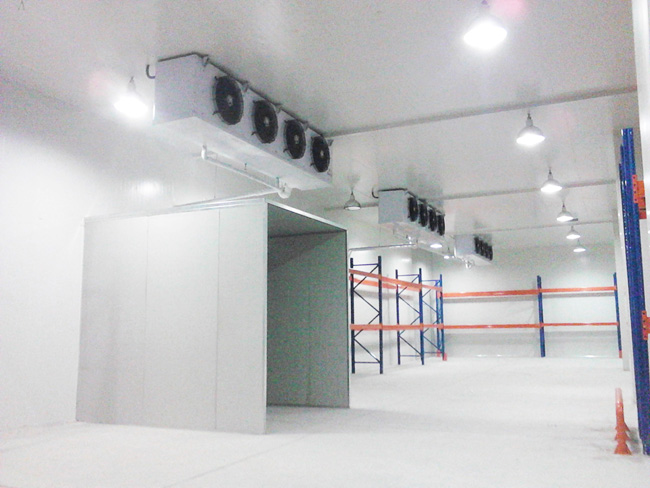 Logistics-Center-Cold-Storage-9 Logística-Centro-Centro-Frío-9