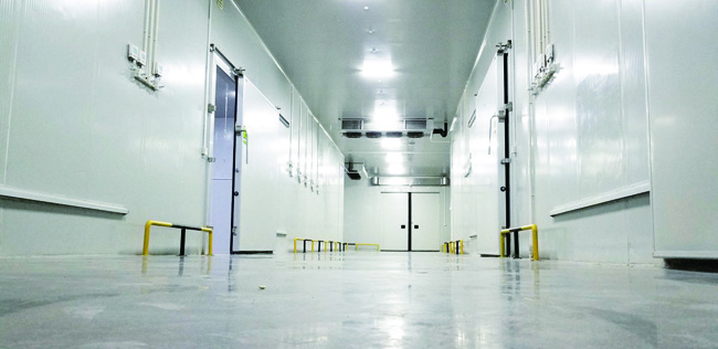 Biomedical-Cold-Chain-Logistics-Center-Project01 Proyecto-Centro-Logístico-de-cadena-de-frío-biomédico01