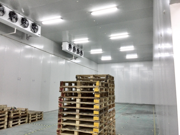Fruit-cold-storage1 Almacenamiento-frigorifico-de-fruta1