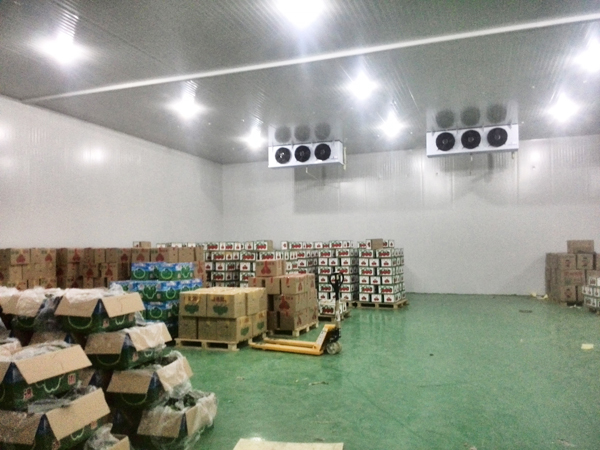 Cold-Storage4 Almacenamiento en frío4