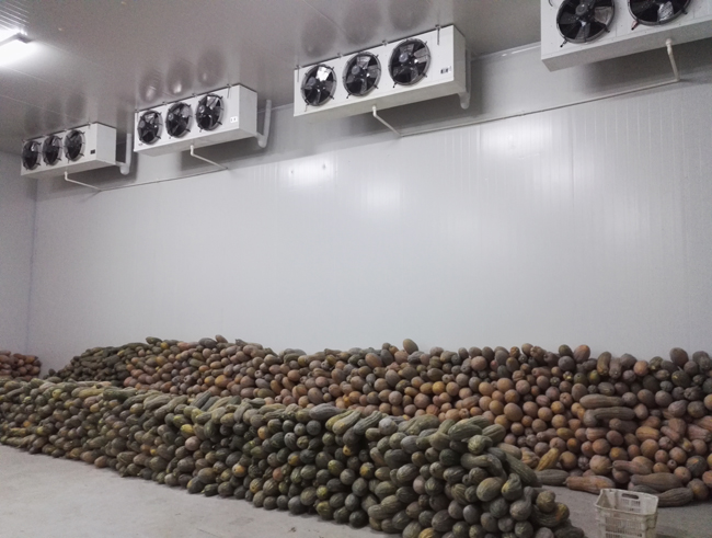 shanxi-vegetable-refrigeration-storage8 almacenamiento-refrigeración-de-verduras-shanxi8