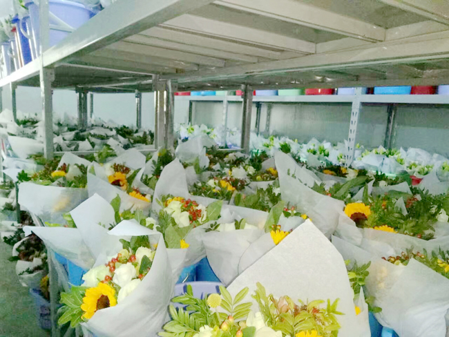 Fresh-Flower-Preservation-Refrigerator5 Refrigerador-conservador-de-flores-frescas5