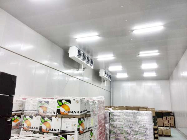 Fruit-cold-storage5 Almacenamiento-frigorifico-de-fruta5
