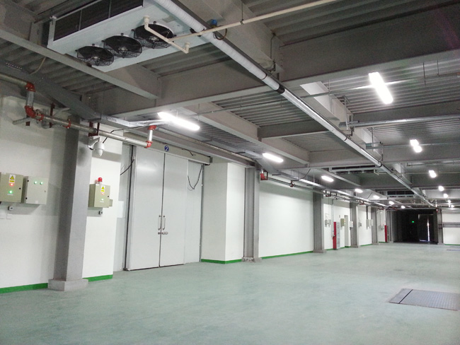 Low-Temperature-Cold-Storage-Project9 Proyecto de almacenamiento en frío a baja temperatura9