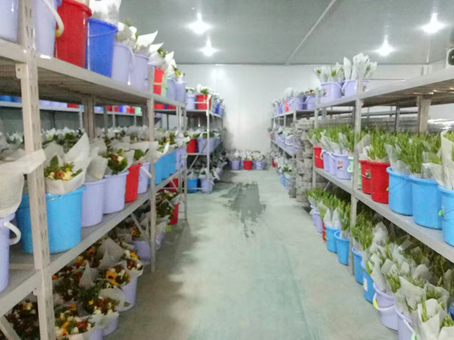 Fresh-Flower-Preservation-Refrigerator6 Refrigerador-conservador-de-flores-frescas6
