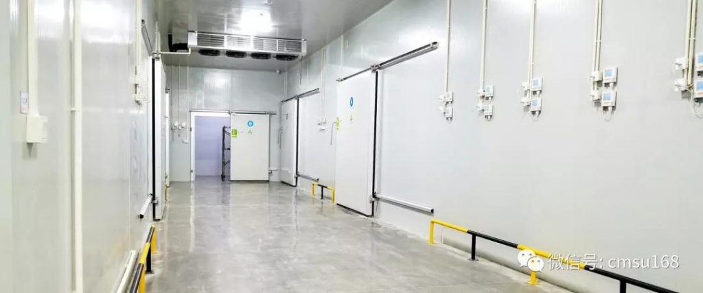 1-1024x427 1-1024x427