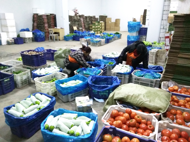shanxi-vegetable-refrigeration-storage14 shanxi-refrigeración-almacenamiento-de-verduras14