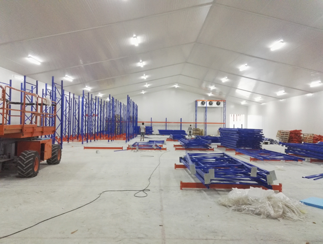 cryogenic-cold-storage-project10 proyecto-de-almacenamiento-frio-criogénico10