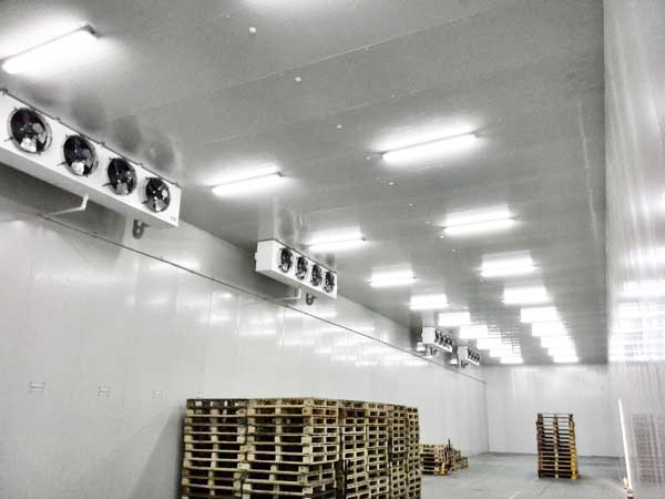 Fruit-cold-storage2 Almacenamiento-en-frigorifico2