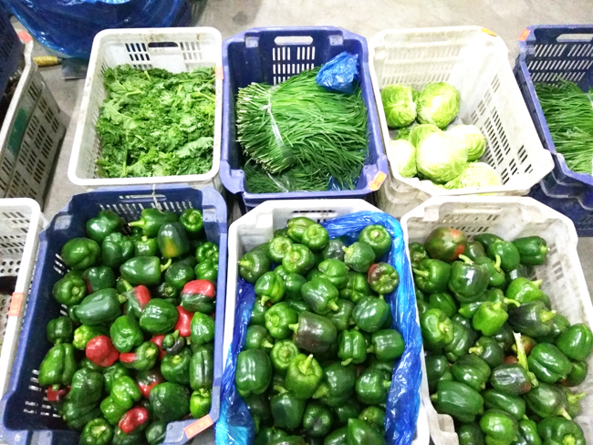 shanxi-vegetable-refrigeration-storage15 shanxi-refrigeración-almacenamiento-de-verduras15