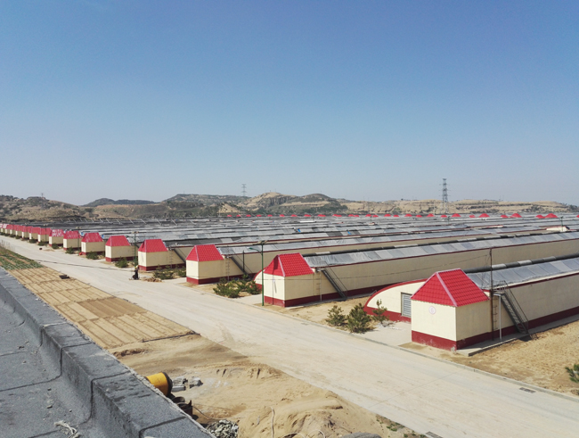shanxi-vegetable-refrigeration-storage4 almacenamiento-refrigeración-de-verduras-shanxi4
